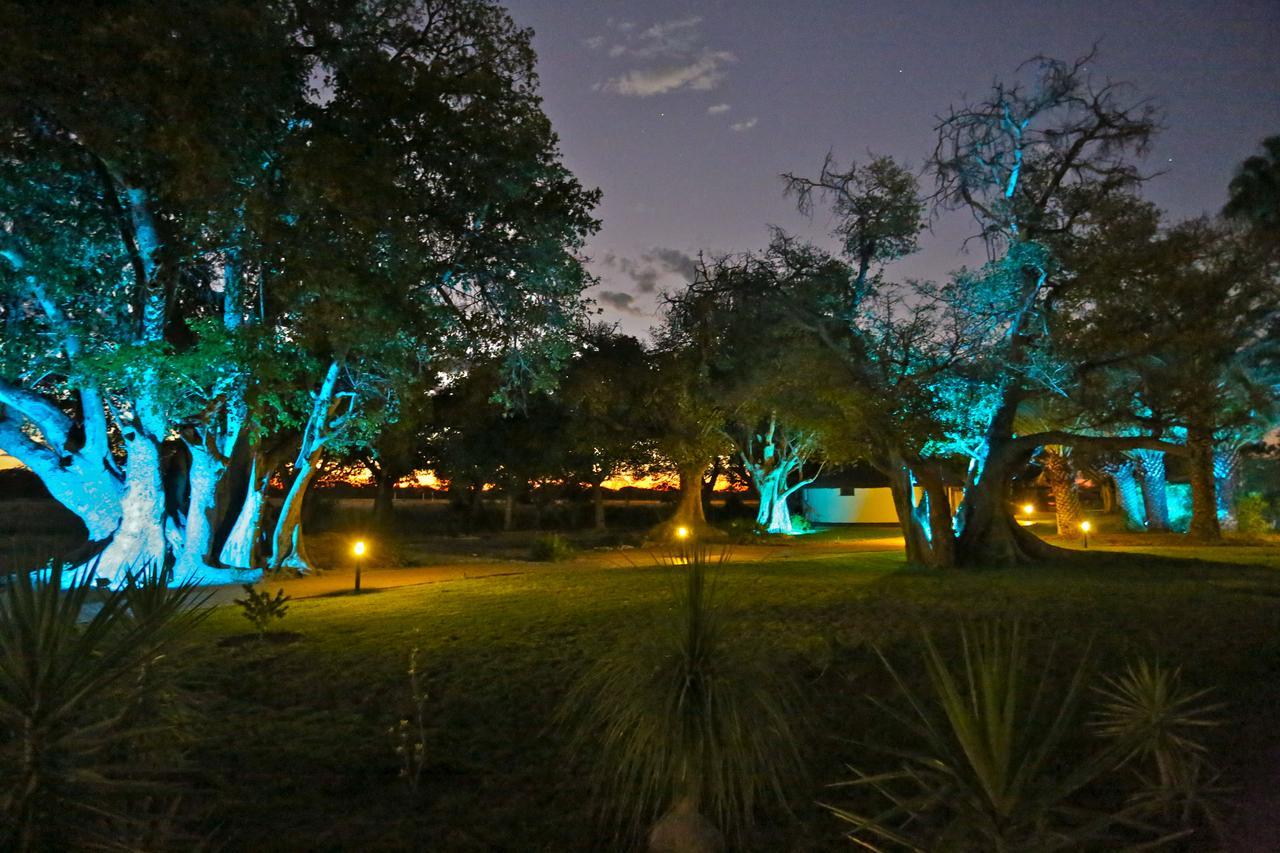 La Rochelle Lodge Okaukuejo Zewnętrze zdjęcie